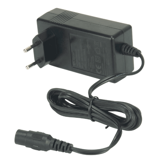 Cargador Batería Plomo Ácido 24V Injusa