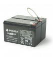 Injusa Lead Acid 24V Battery