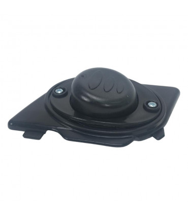 Injusa Gamme 124 - 125 Accelerator Pedal