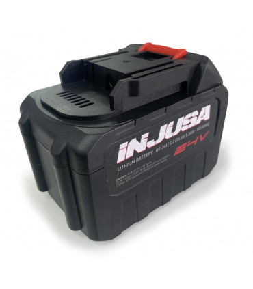 Injusa e-Bike 24V Lithium Battery and Charger Set