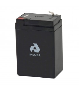 Cargador UK para Vehículos Eléctricos 12V de Injusa ®