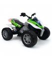 Injusa Rage 24V Quad