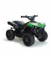 Quad Eléctrico Infantil Racing Verde 6V