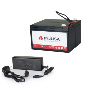 24V Lithium-Akku mit Ladegerät