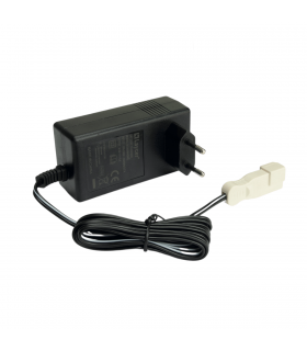 Chargeur de Batterie au Lithium Injusa 6V