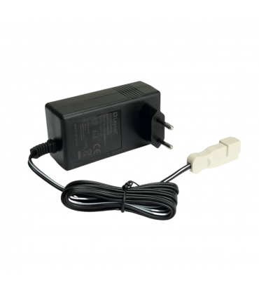 Chargeur pour Batterie au Lithium 6V Injusa