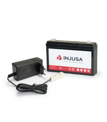 6V Lithium Battery and Charger Set