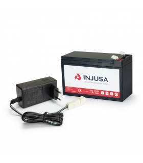 12 Volt Lithium Batterie et Chargeur Set