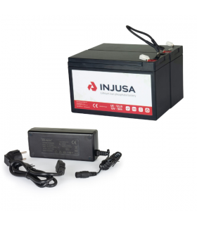 LUSITAS: Cargador de batería con función turbo - carretilla - 12/24V, 5 -  1000A