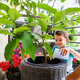 RUTINAS E IDEAS PARA HACER EN CASA CUANDO LOS NIÑOS ESTÁN CONFINADOS