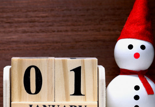 PLANES PARA HACER CON NIÑOS EN ENERO