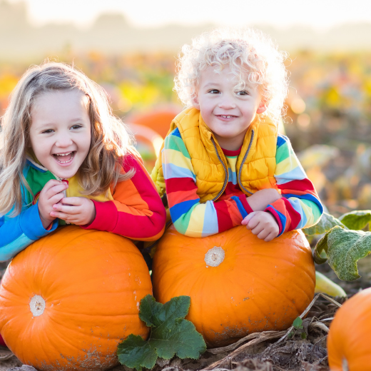 PLANES CON NIÑOS PARA OCTUBRE PARA DAR LA BIENVENIDA AL OTOÑO