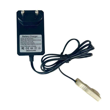 Cargador de Batería 6V Injusa