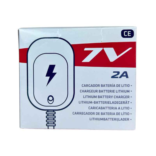 Cargador de Batería 6V Injusa