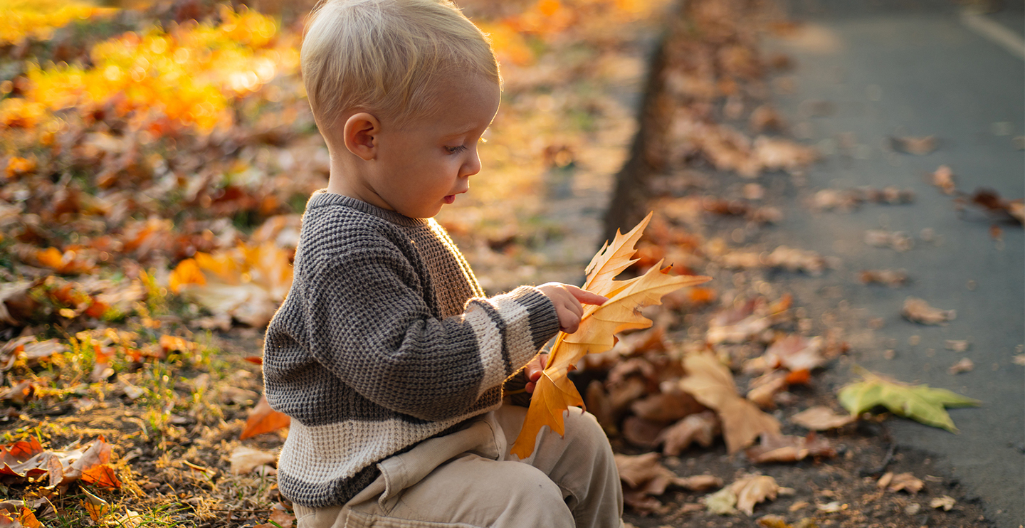 niños jugando con hojas